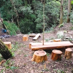 【曲げわっぱ工房の庭の森のこと】杉の丸太でステキなテーブルと椅子を作ってもらって夢みたいな光景が広がった話し